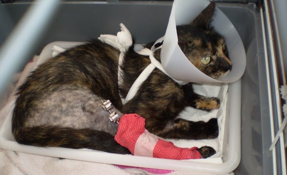 ???????????????????????????????