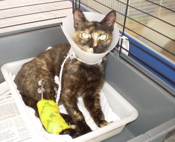 ???????????????????????????????