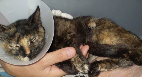 ???????????????????????????????