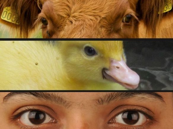 Ernst-Vikne-Wilfredor-Biswarup-Ganguly_EDIIMA20140627_0743_5[1]