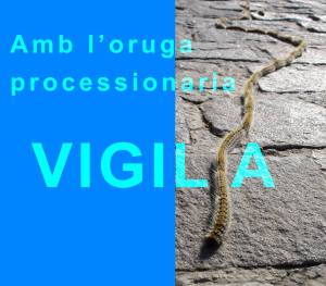 16427519_10154961188424437_5979292292975851938_n