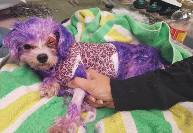 34d8fb06967fd3a8df11c31378c561c2