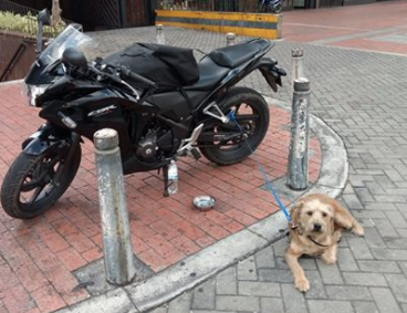 c03d4c436c357bbb852076fb5b98a6bf