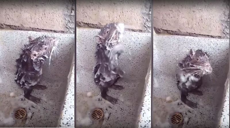 ed3c39eb90a3d7781dfbeb3d401b76ab