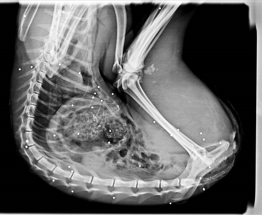 Sem Ttulo_28_12_2017