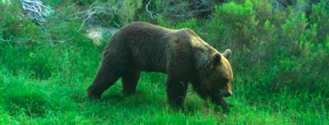 captura-de-pantalla-2018-03-04-a-las-17-15-20