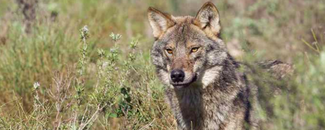 captura-de-pantalla-2018-03-04-a-las-17-17-57
