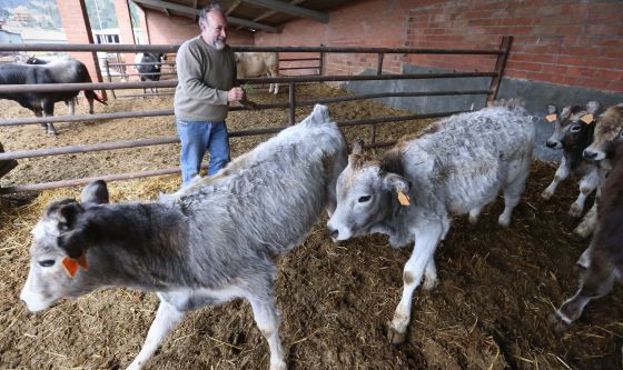 1427109245_197199_1427116058_noticia_normal