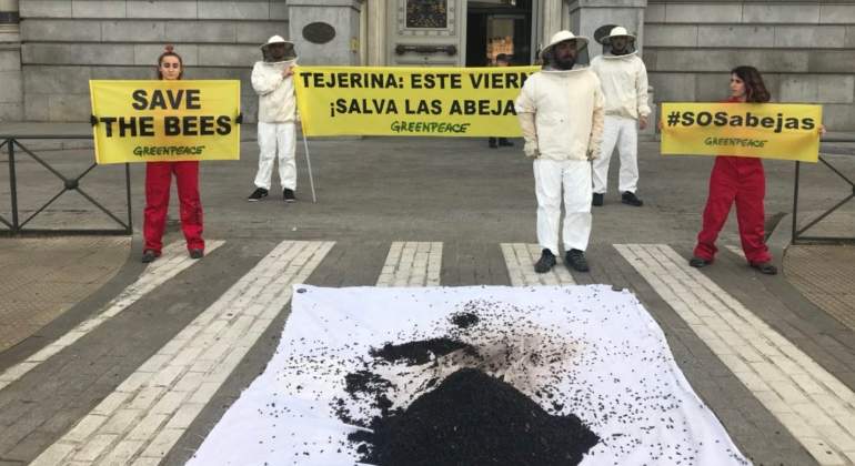 greenpeace-abejas-tejerina