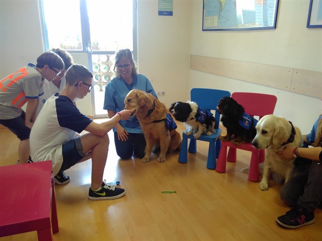 fotonoticia_20180522200121_640