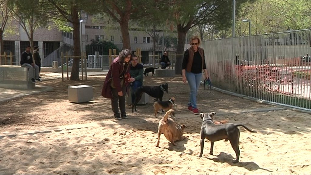 gossos-piscines-esports2-040418-1024x576