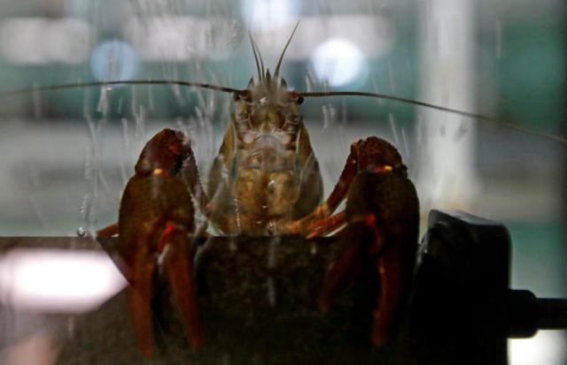 cd150c322d71b52e8f0259869ff77847