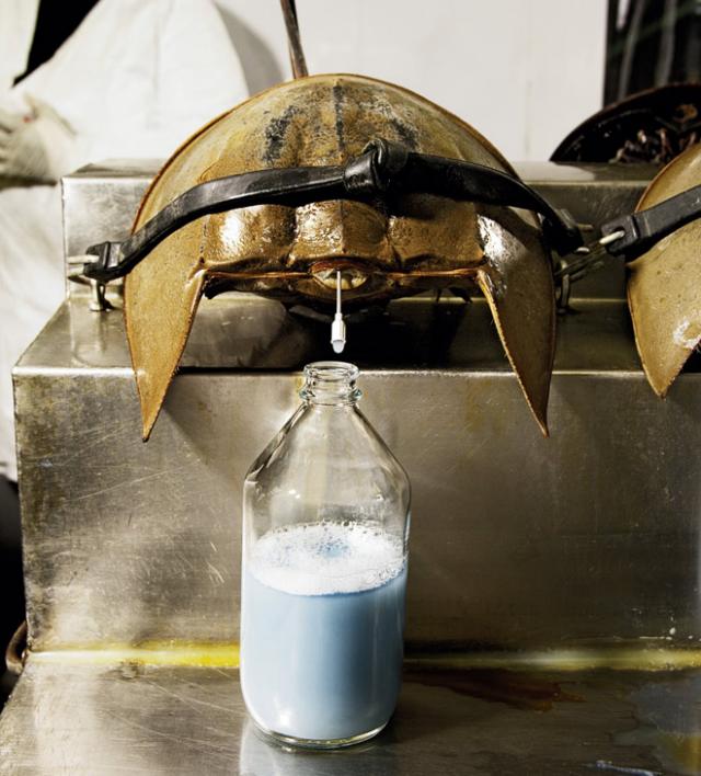 e16cfa4927625f8766564d9d2265a6d0