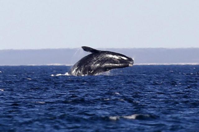 78edd7712d9f28b7abdabee765785d93