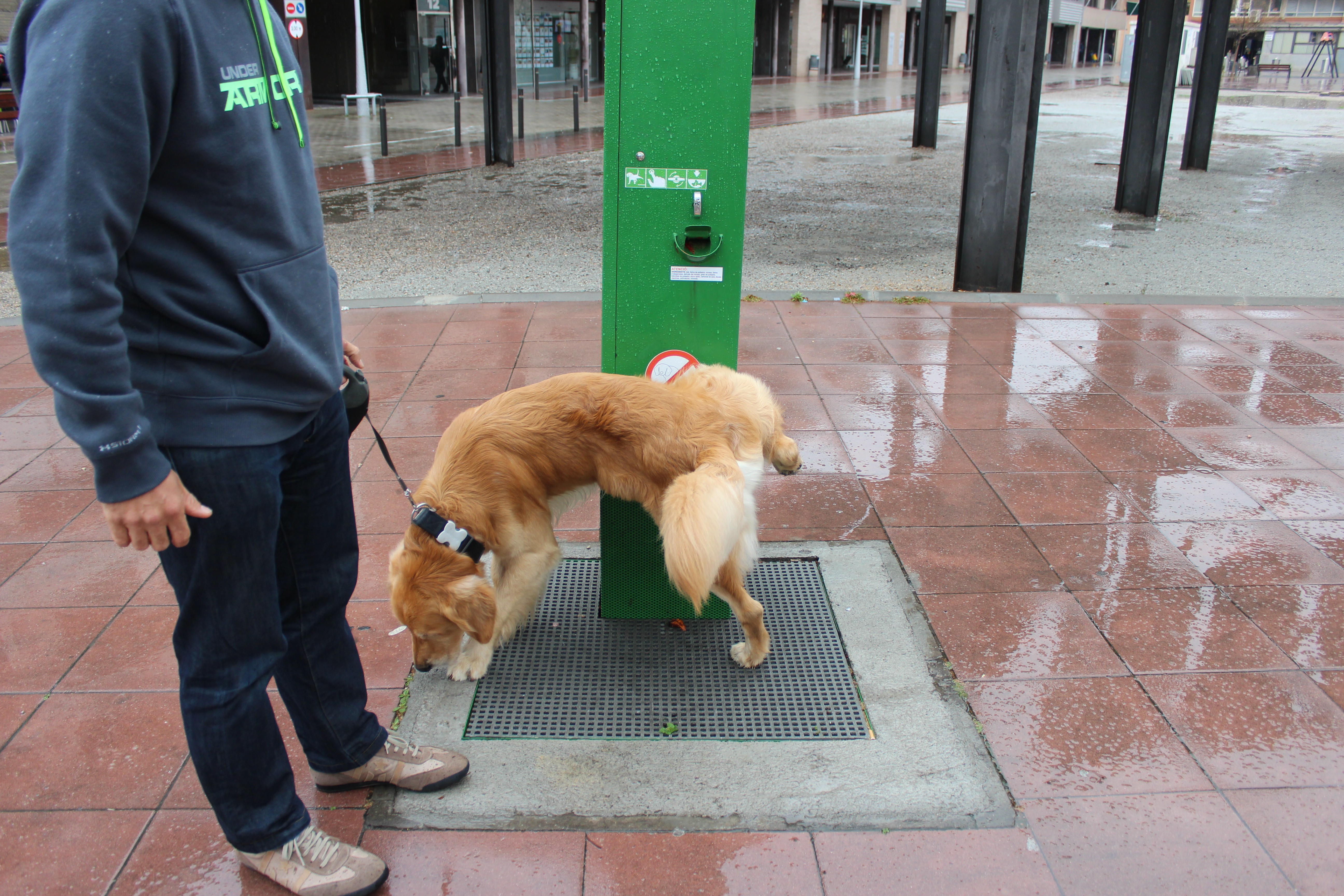 img_jpolo_20160401-153233_imagenes_lv_otras_fuentes_e-can_pipican_2