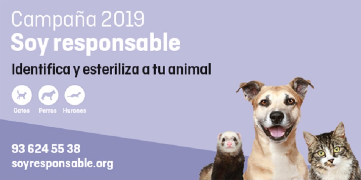 Campanya FAADA esterilització