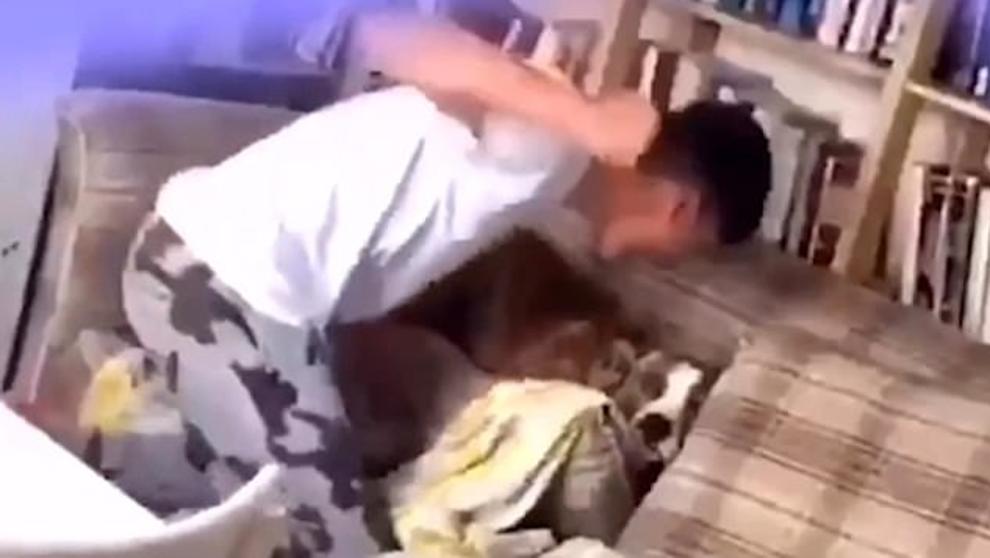 adolescent 3 anys sense mascota per maltractament