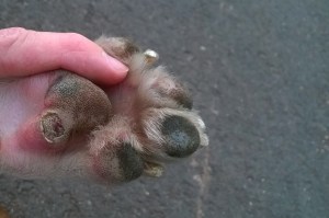 IMG-20160525-WA00011