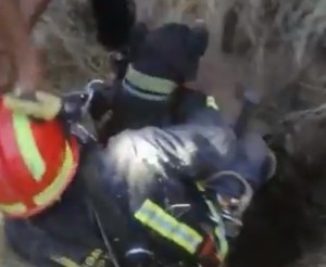 02C47133-BA37-E3DB-75013C7B05648BC8