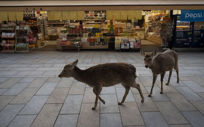 f22ec750-7402-11ea-becb-88bd980a27e8