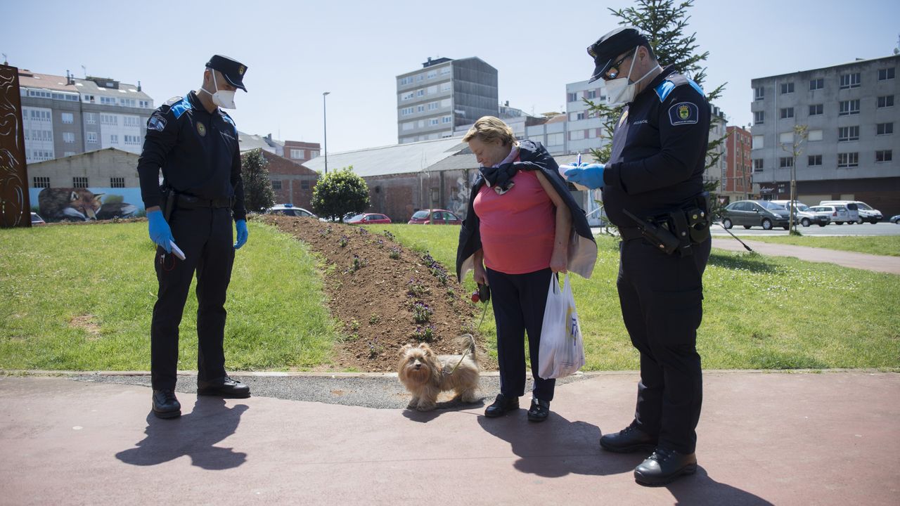 multas incivismo perro