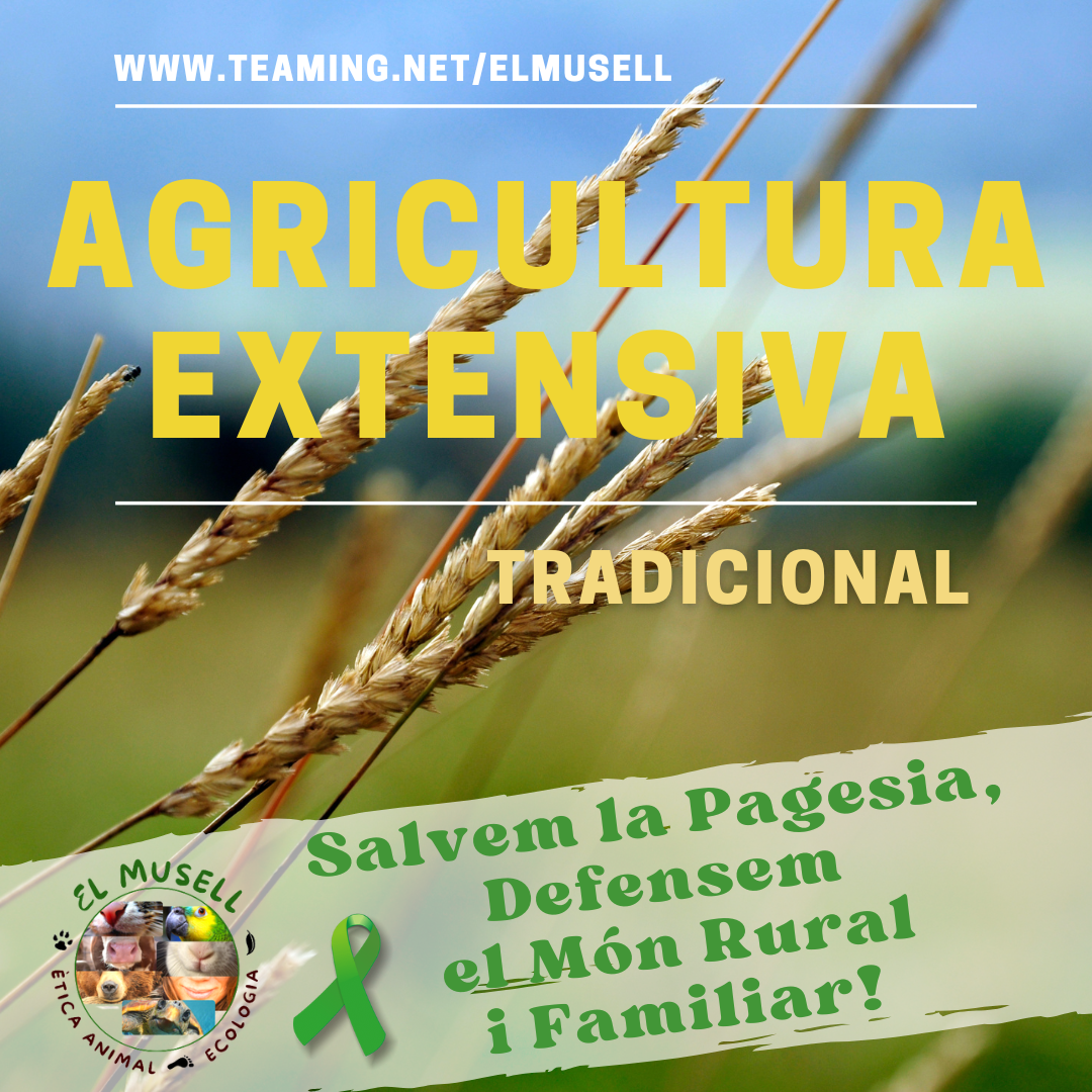 AGRICULTURA